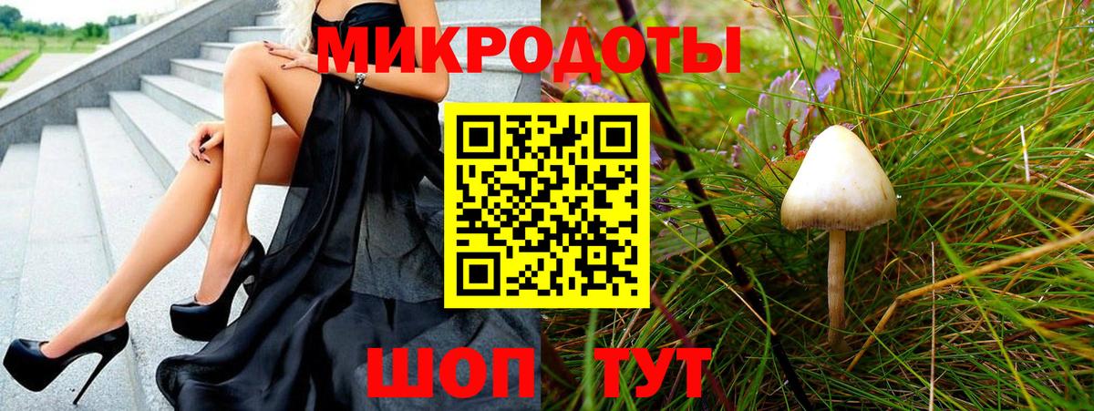 Лянтор  Галлюциногенные грибы Cubensis  Вход с VPN 