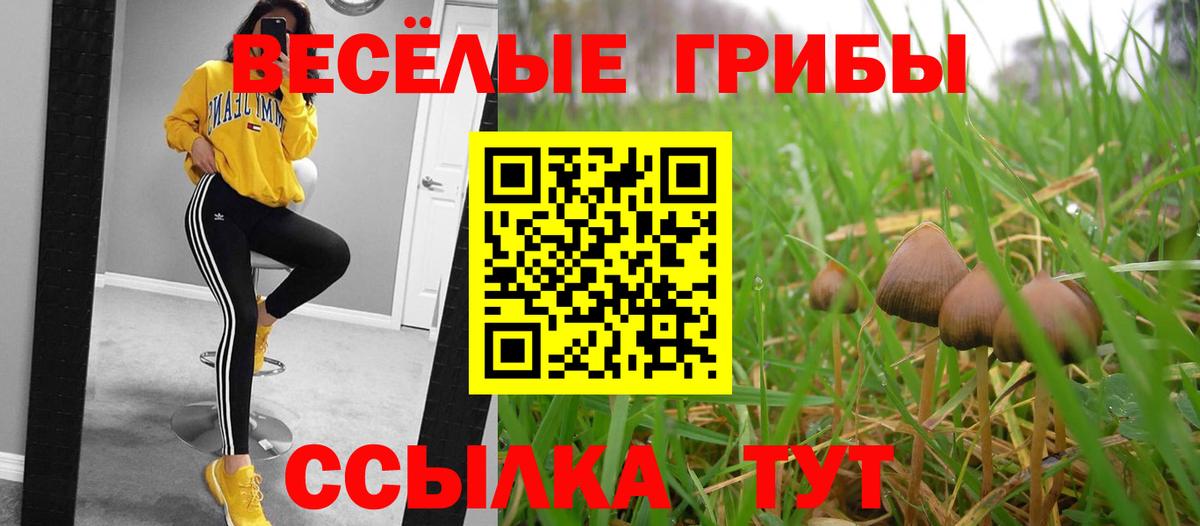 Галлюциногенные грибы прущие грибы Лянтор